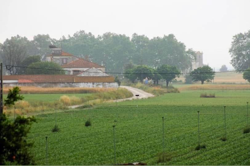 Casa De Azzancha ξενώνας Azinhaga Εξωτερικό φωτογραφία
